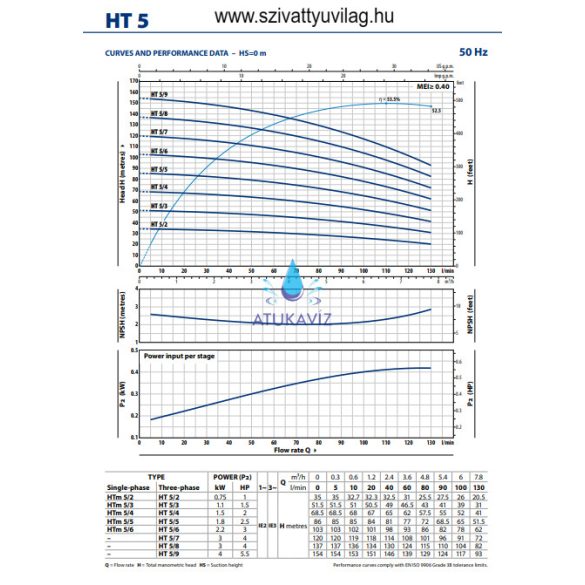 Pedrollo HTm 5/3 5.1bar 130 liter